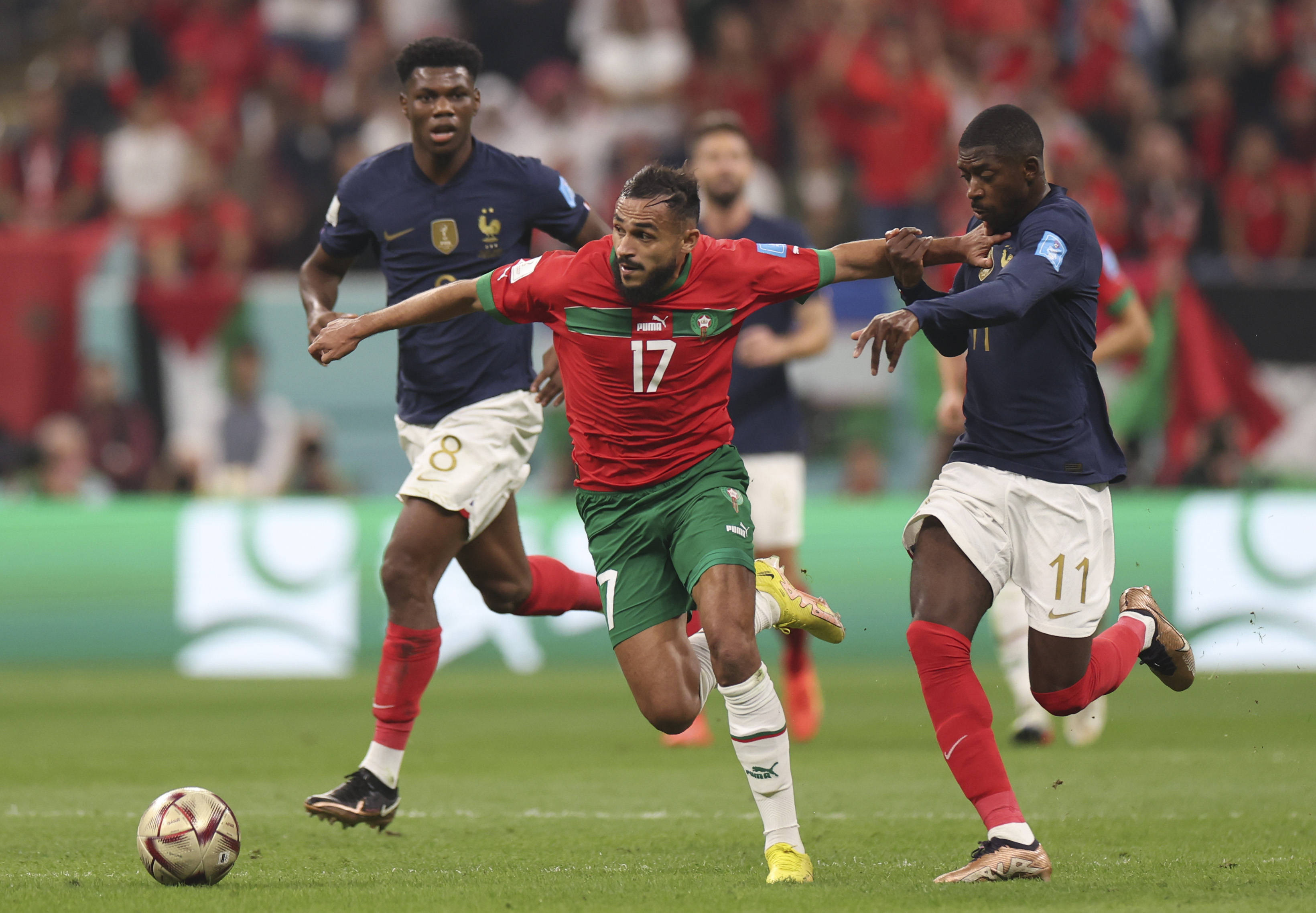 广告规范 广告规范